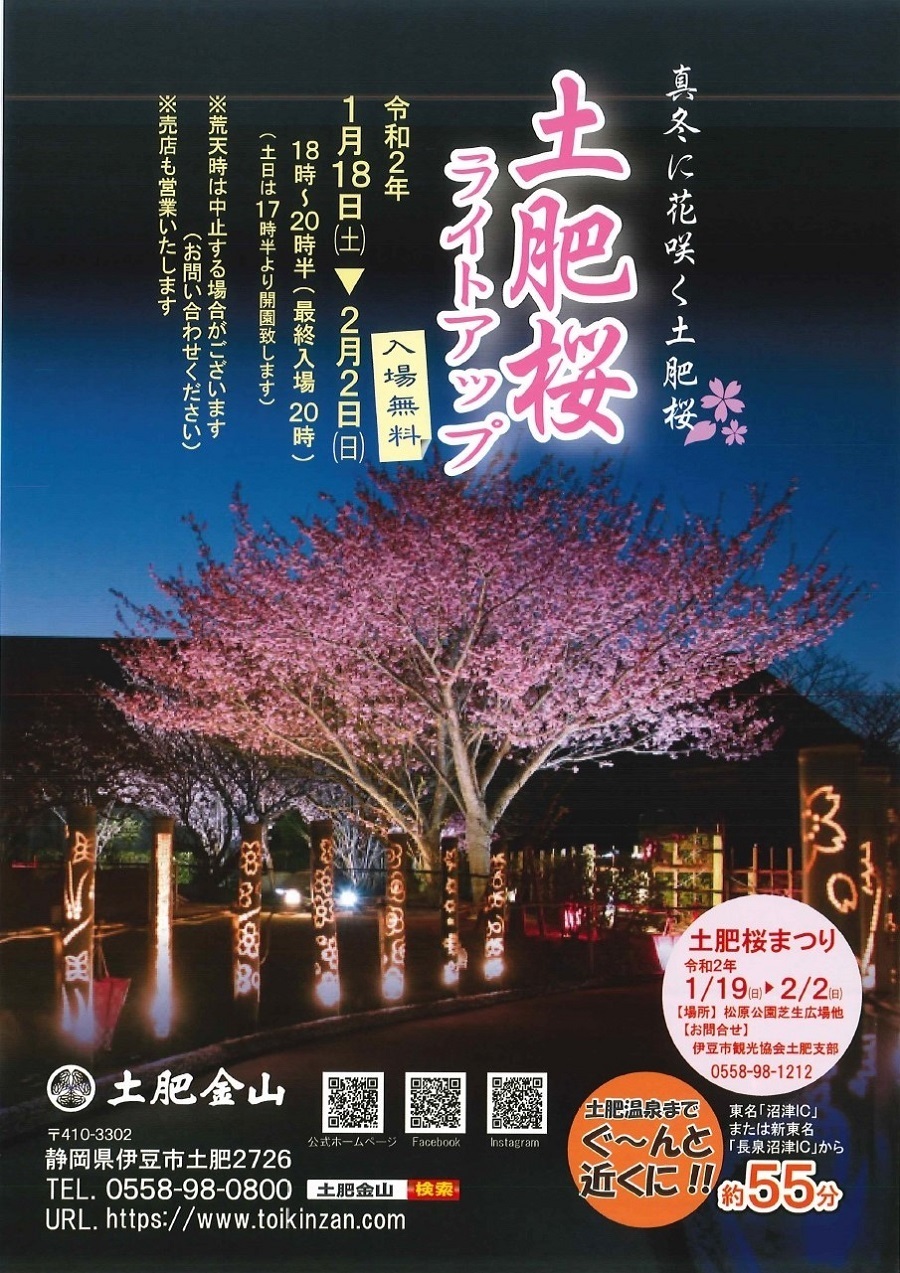 土肥桜ライトアップと土肥桜まつり 西伊豆土肥温泉 粋松亭便り